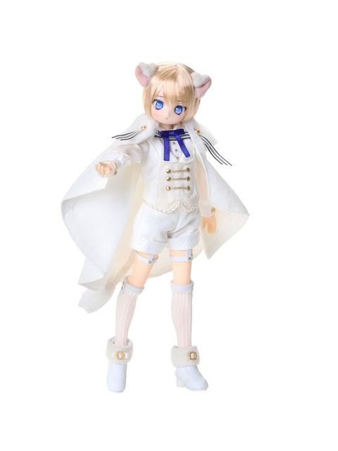 Leo レオ　サイズダンレボリューション　( 充電不要 ) 1/6アイリスコレクトプチ 新キャラクター！ Leo（レオ）～Rise to the