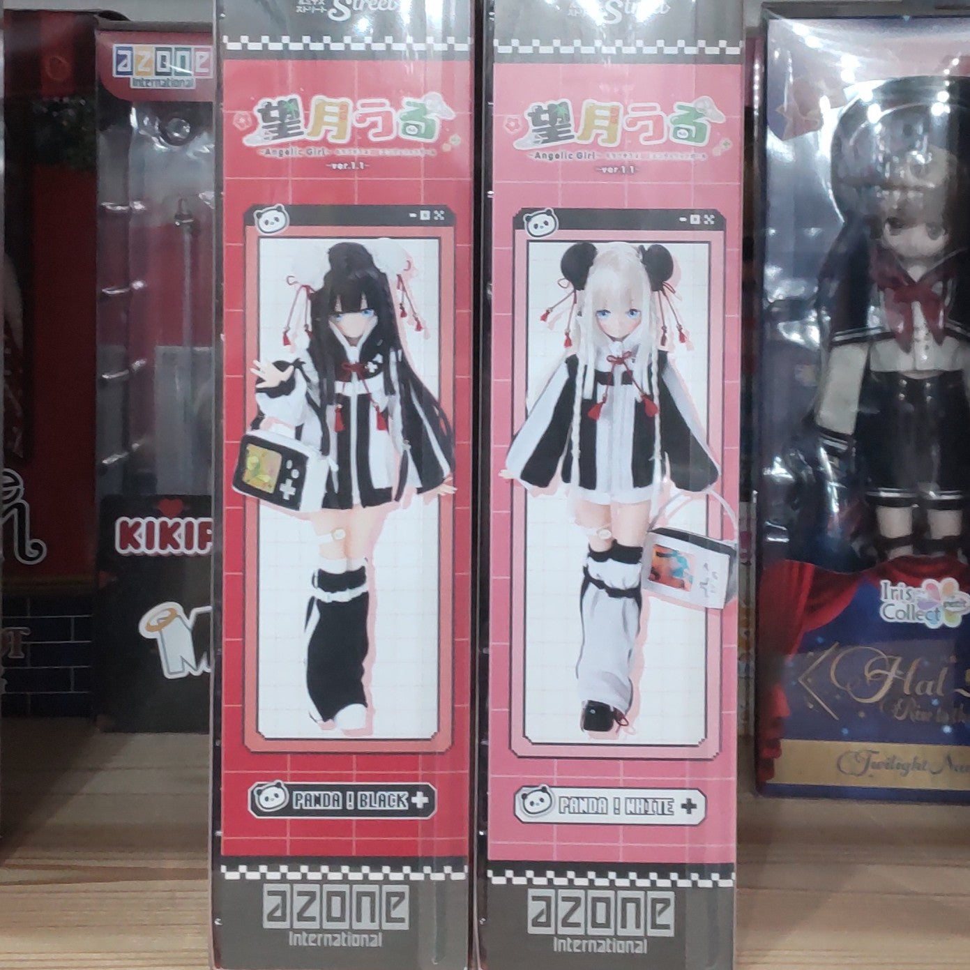 【入荷情報】2025年3月22日到着