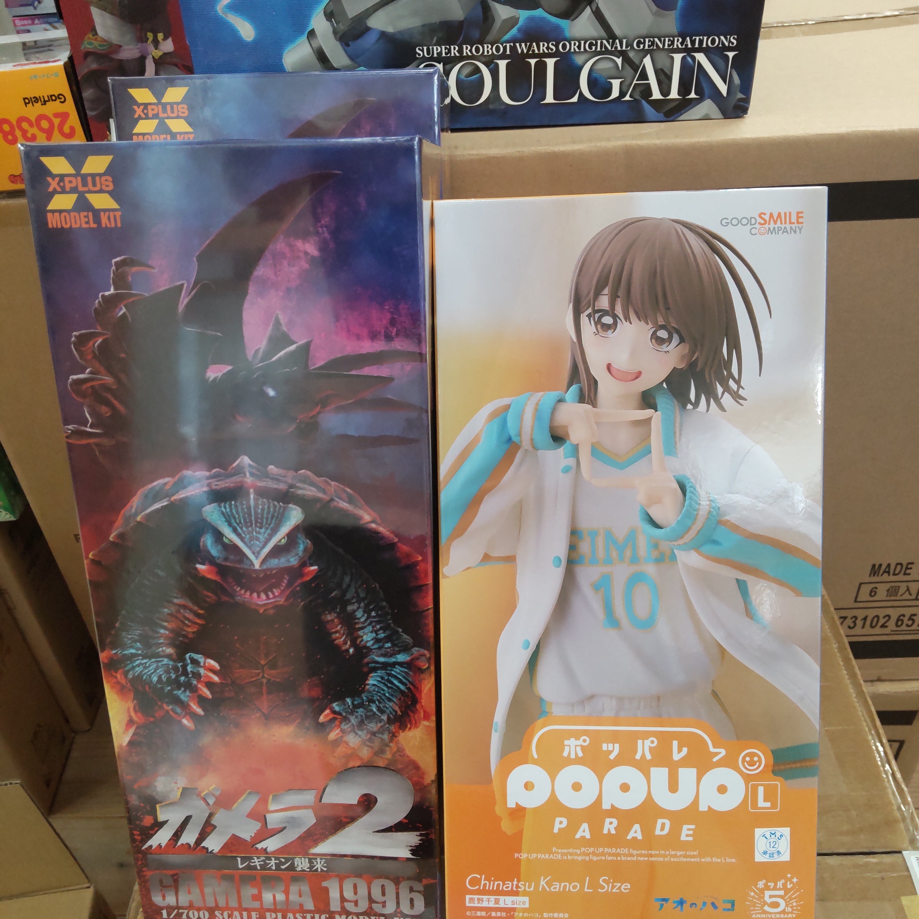 【入荷情報】2025年6月29日到着