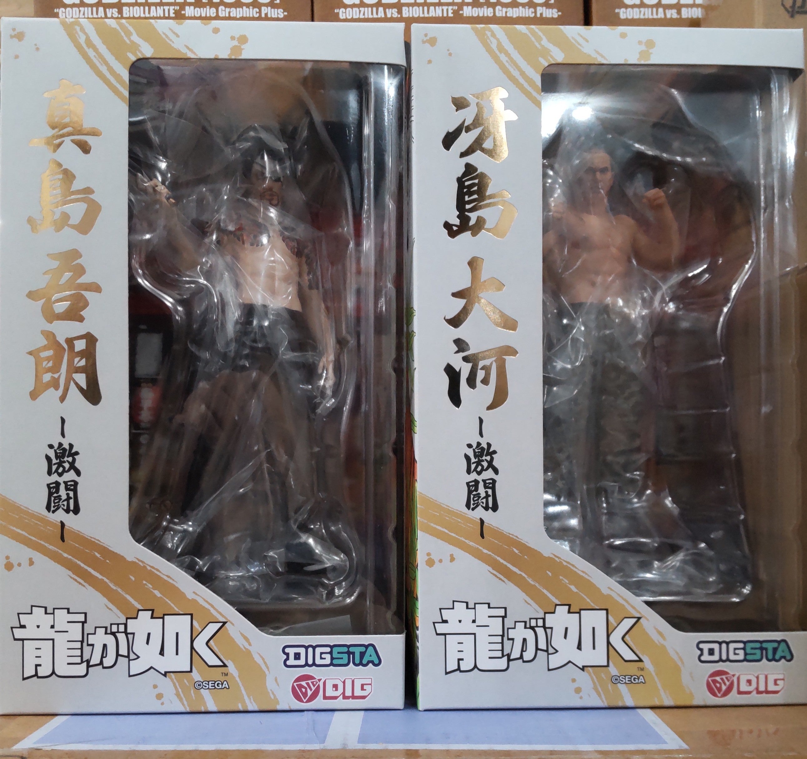 【入荷情報】2026年1月24日到着（2-1）