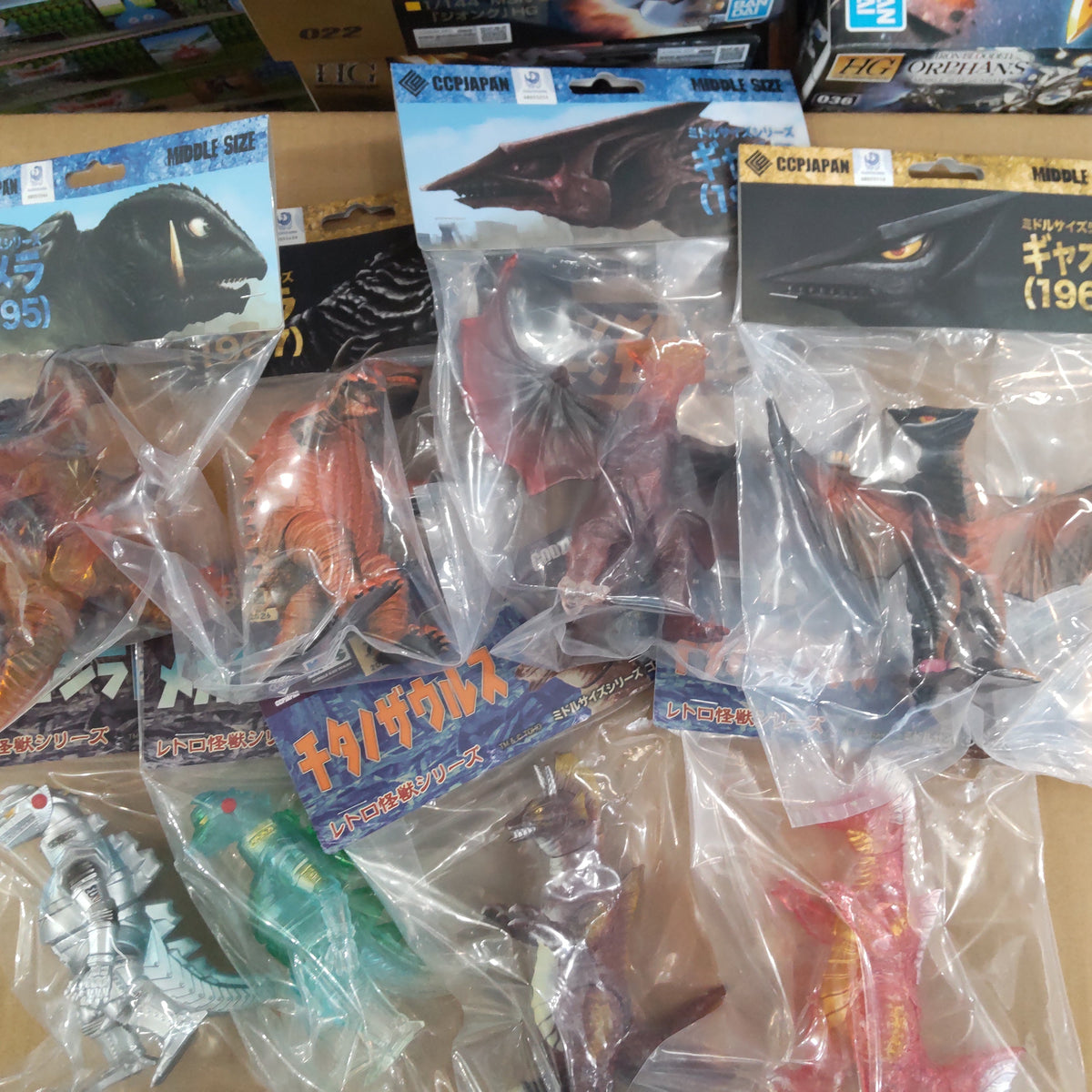 【入荷情報】 2026年10月16日到着（2-1）