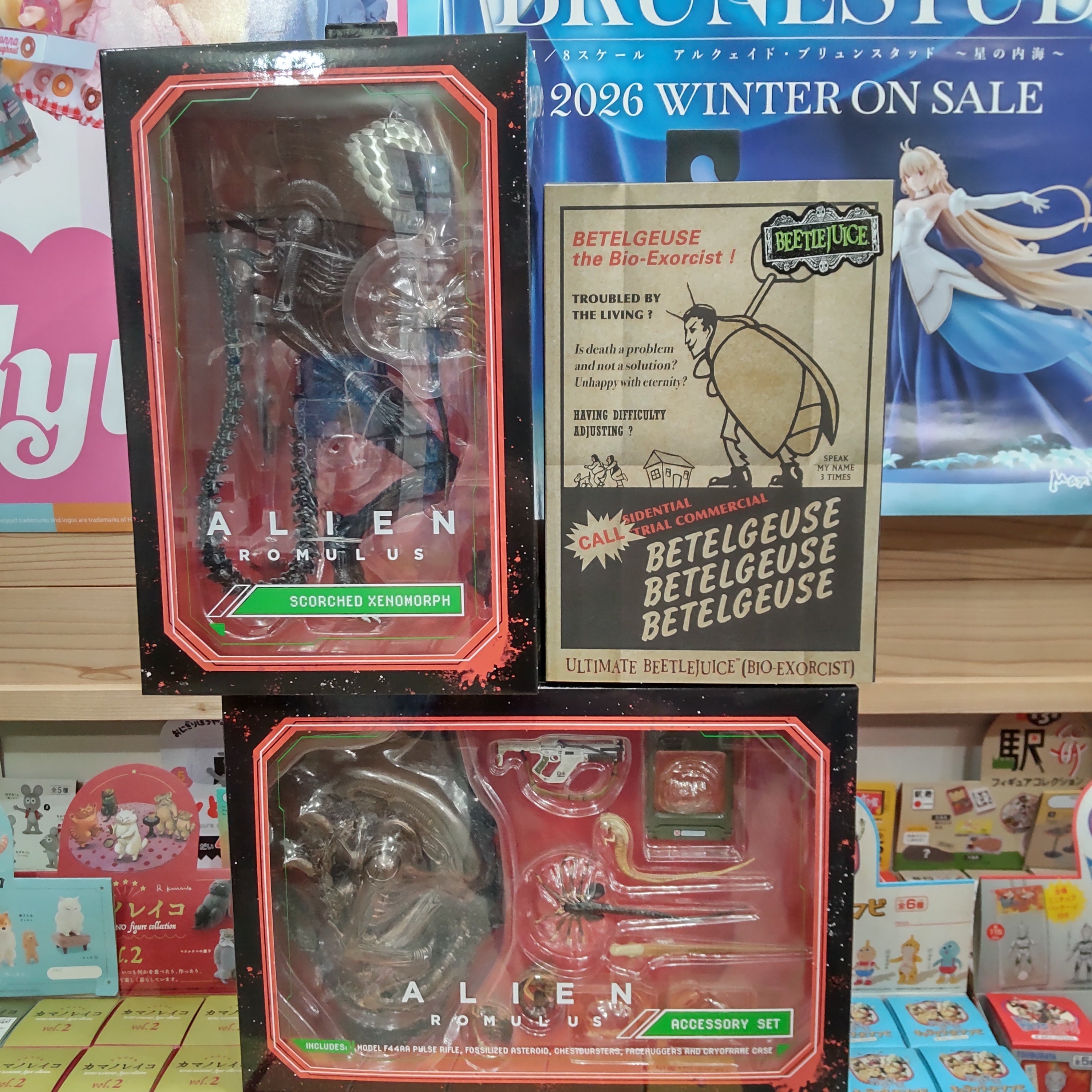 【入荷情報】2025年1月30日到着 (3-2)