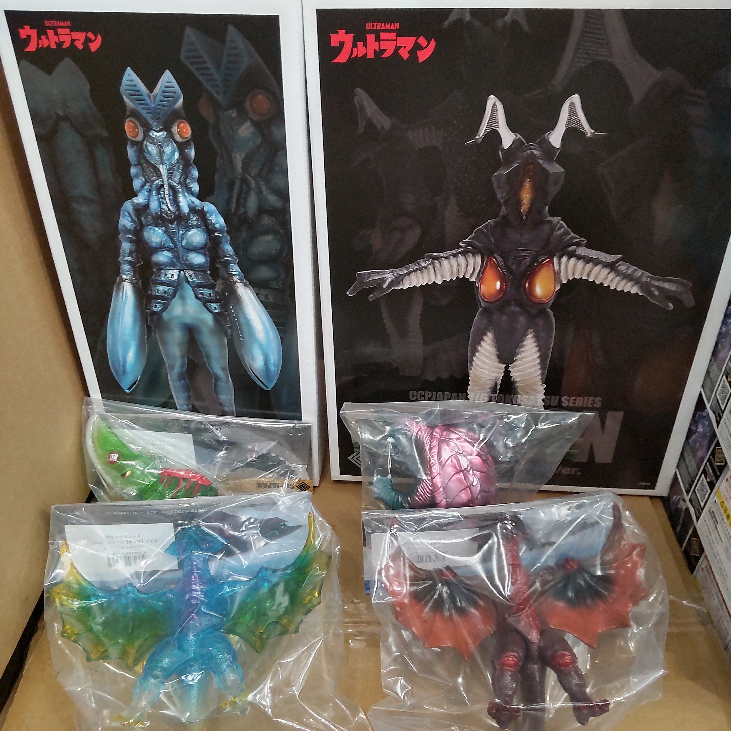 【入荷情報】2025年5月22日到着 (2-1)