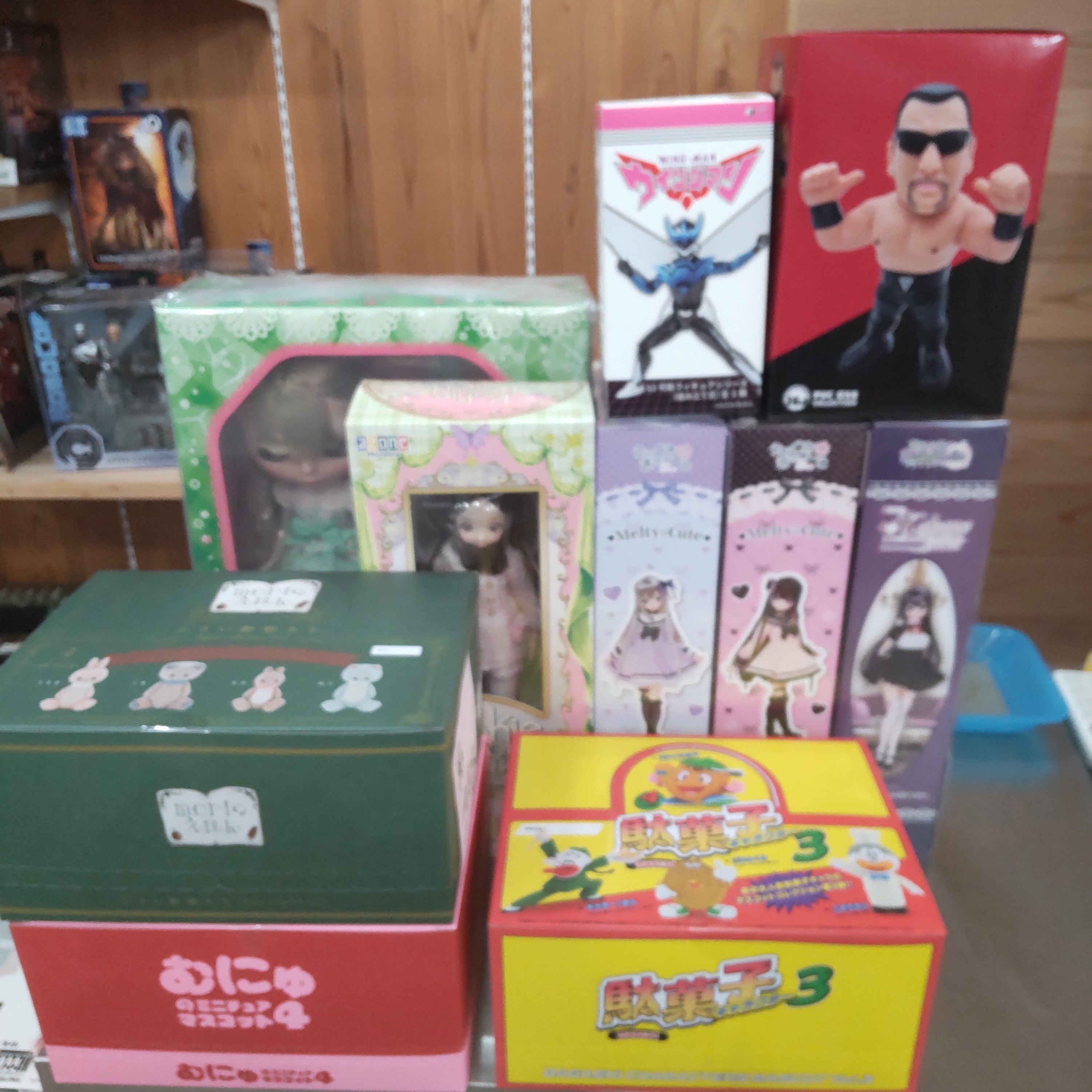 【入荷情報】2025年6月28日到着（2-1）
