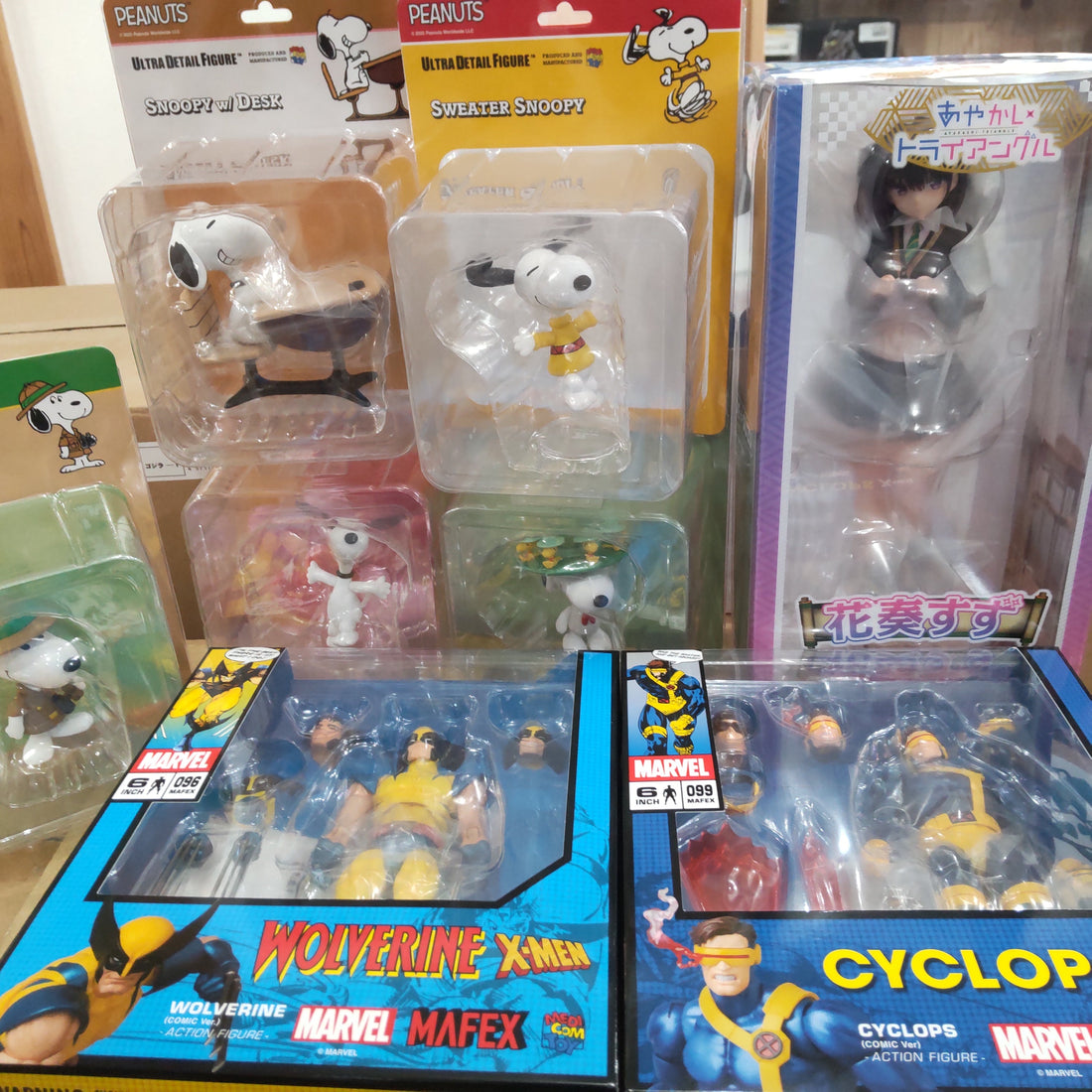 【入荷情報】2025年11月22日到着