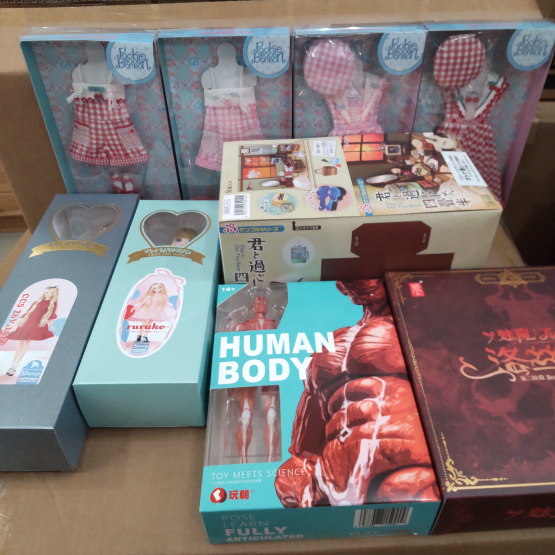 【入荷情報】2025年12月20日到着（3-1）