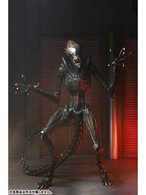 ネカ スコーチド ゼノモーフ 「エイリアン：ロムルス」 アルティメット 7インチ アクションフィギュア