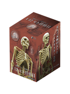 SO-TA 博物モデリング倶楽部・壱 1/12ヒト骨格2 【ランダム・単品販売】