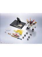 METAL ROBOT魂 龍王丸 「魔神英雄伝ワタル」