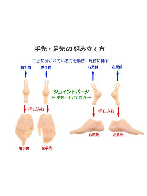 ペットワークス 六分の一男子図鑑　B2508 ナイン
