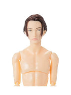 ペットワークス 六分の一男子図鑑　B2604 ナイン
