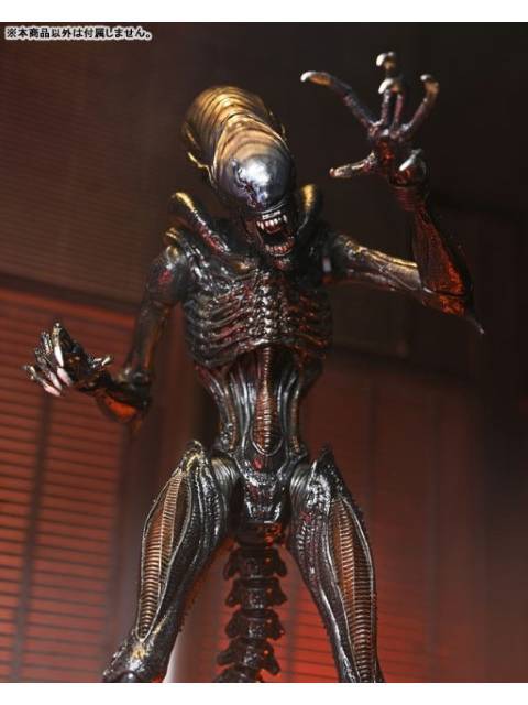 ネカ スコーチド ゼノモーフ 「エイリアン：ロムルス」 アルティメット 7インチ アクションフィギュア