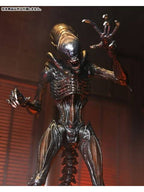 ネカ スコーチド ゼノモーフ 「エイリアン：ロムルス」 アルティメット 7インチ アクションフィギュア