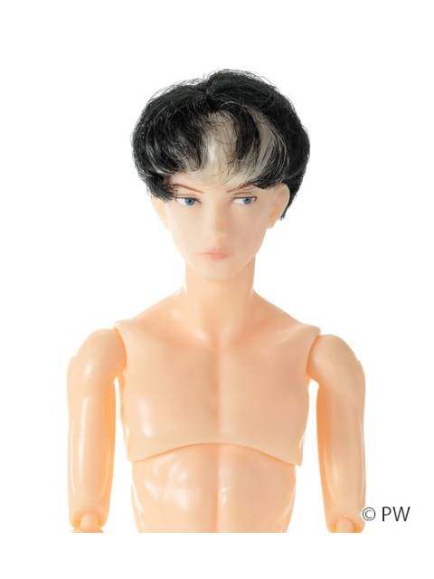 ペットワークス 六分の一男子図鑑 B2403 ナイン