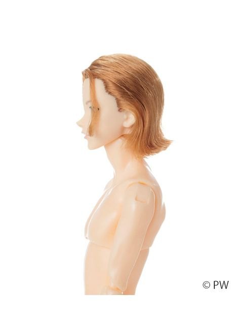 ペットワークス 六分の一男子図鑑　B2604 エイト