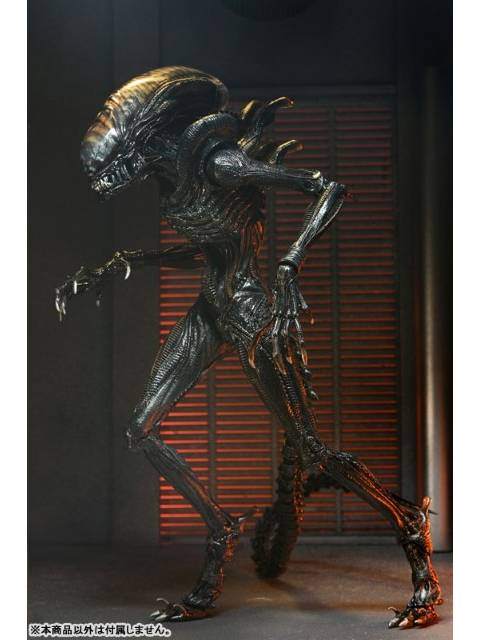 ネカ スコーチド ゼノモーフ 「エイリアン：ロムルス」 アルティメット 7インチ アクションフィギュア