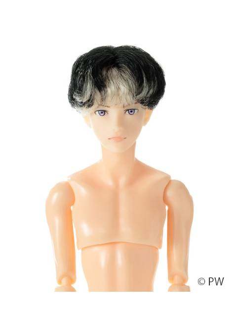 ペットワークス 六分の一男子図鑑 B2403 エイト