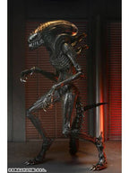 ネカ スコーチド ゼノモーフ 「エイリアン：ロムルス」 アルティメット 7インチ アクションフィギュア