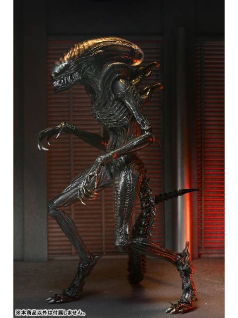 ネカ スコーチド ゼノモーフ 「エイリアン：ロムルス」 アルティメット 7インチ アクションフィギュア