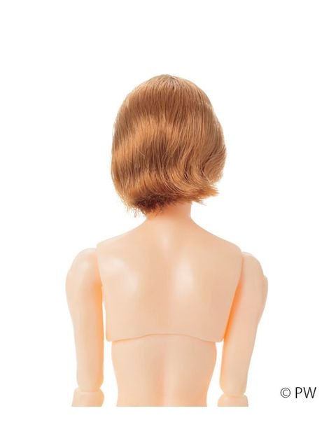 ペットワークス 六分の一男子図鑑　B2604 エイト