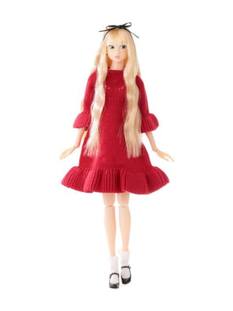 ペットワークス CCS 26VDAY momoko