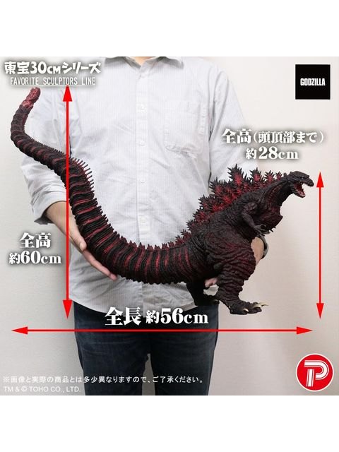 2頭のクジラ ミナミセミクジラ Southern Right Whale - ワイルドライフ Wildlife