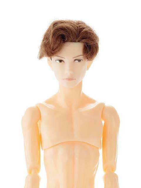 ペットワークス 六分の一男子図鑑 書房のナイン