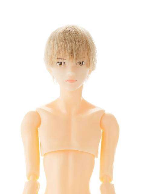 ペットワークス 六分の一男子図鑑 書房のエイト