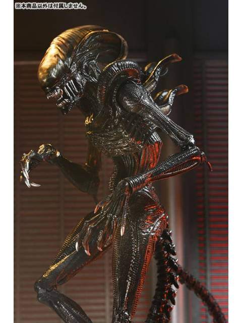ネカ スコーチド ゼノモーフ 「エイリアン：ロムルス」 アルティメット 7インチ アクションフィギュア