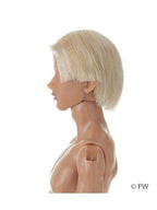 ペットワークス 六分の一男子図鑑 B2405 ナイン