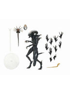 ネカ スコーチド ゼノモーフ 「エイリアン：ロムルス」 アルティメット 7インチ アクションフィギュア