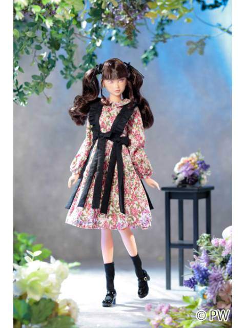 ペットワークス CCS 25SS momoko