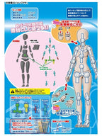 ホビーベース 1/12素材ちゃんM ライトフレッシュ プレミアムパーツコレクション 関節技EX