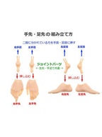 ペットワークス 六分の一男子図鑑　B2508 エイト