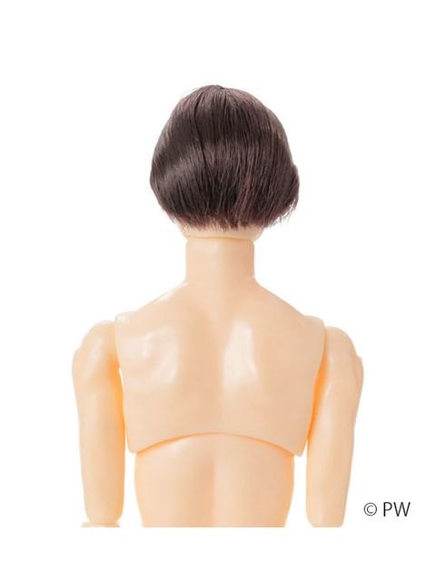 ペットワークス 六分の一男子図鑑　B2604 ナイン