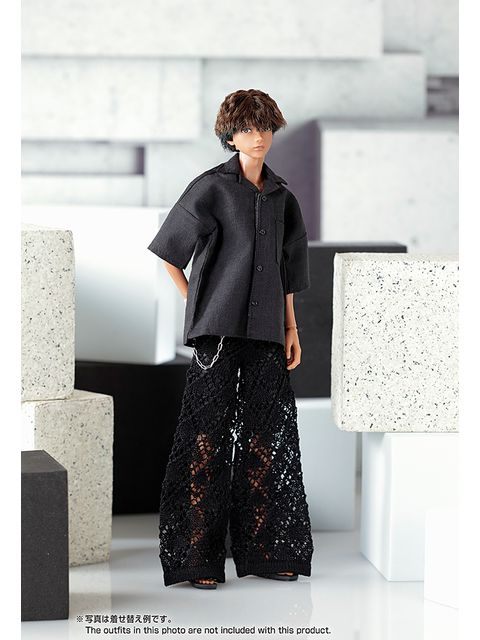 ペットワークス 六分の一男子図鑑　B2508 エイト