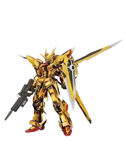 ガンプラ RG 1/144 アカツキガンダム(オオワシ装備) 【プラモデル】
