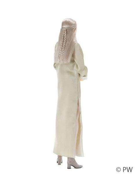 ペットワークス 六分の一男子図鑑 25干支 巳 ナイン