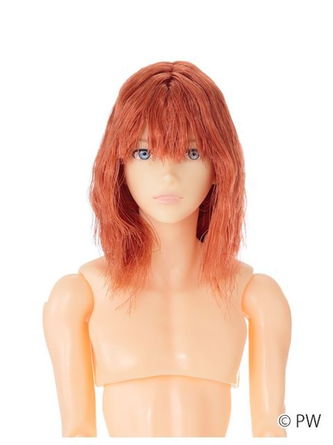 ペットワークス 六分の一男子図鑑 26干支 午 エイト