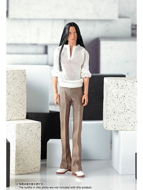 ペットワークス 六分の一男子図鑑　B2508 ナイン