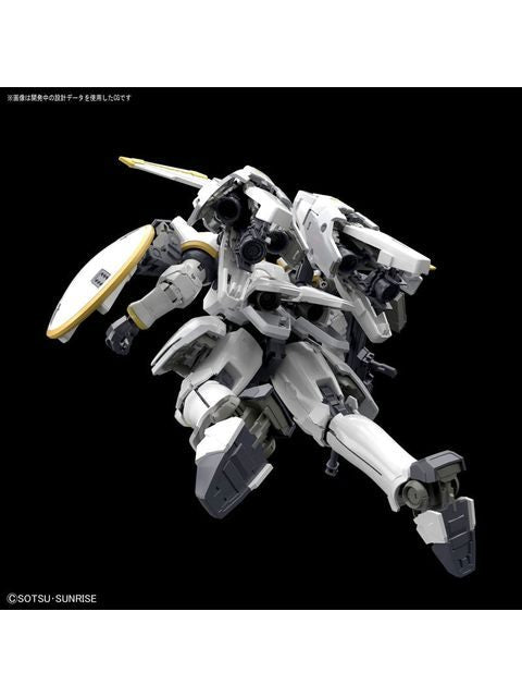 ガンプラ RG トールギス