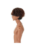 ペットワークス 六分の一男子図鑑　B2508 エイト