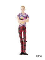 ペットワークス 六分の一男子図鑑　ギークパンク ナイン