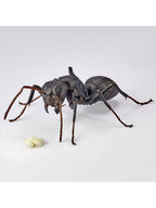 海洋堂 クロオオアリ REVO GEO リボジオ