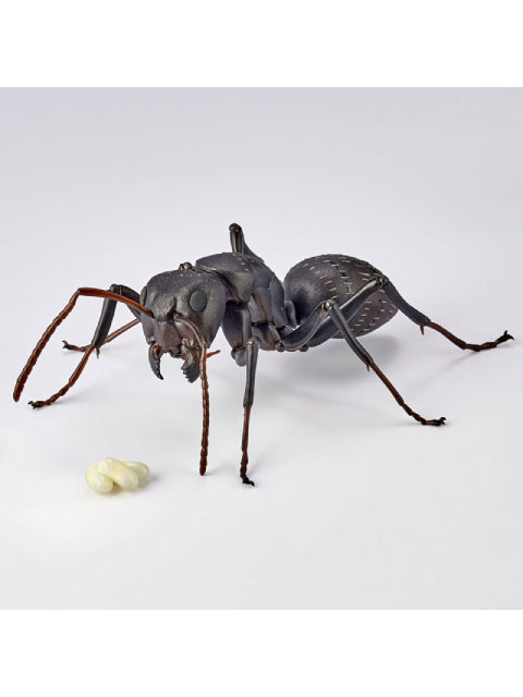 海洋堂 クロオオアリ REVO GEO リボジオ