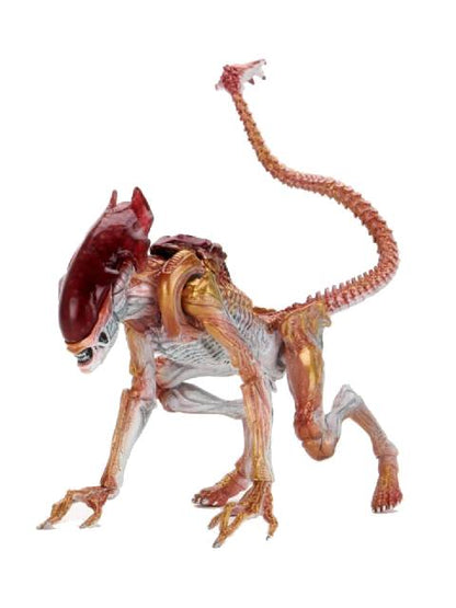 NECA Panther Alien "Alien" 7-inch Action Figure Series Kenner Tribute