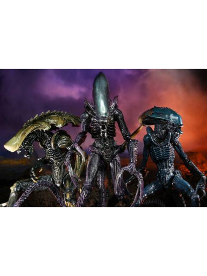 NECA AVP Alien Movie Decoration Set of 3 "Alien vs Predator" 7-inch Action Figures