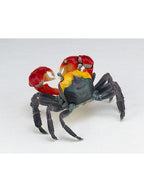 海洋堂 リボジオ アカテガニ