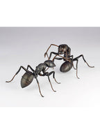 海洋堂 クロオオアリ REVO GEO リボジオ