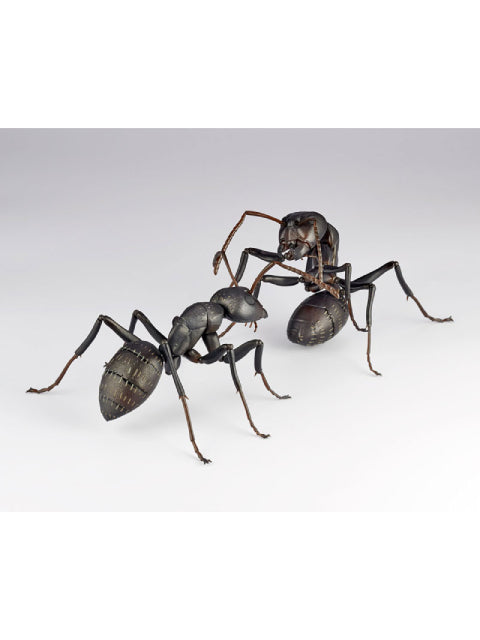 海洋堂 クロオオアリ REVO GEO リボジオ